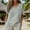 Gray, variant on 2026 Summer Women's Scoop Neck Dolman Blouse, Short Sleeve Loose Fit Casual Solid Color Crinkle Tunic Top with Curved Hem for Everyday Streetwear and Vacation