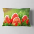 thumbnail image 2 of Designart Red Easter Eggs in Green Grass - Landscape Photography Throw Pillow - 12x20, 2 of 5