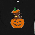 thumbnail image 4 of Inktastic Halloween Dachshund in Pumpkin Boys or Girls Baby T-Shirt, 4 of 5