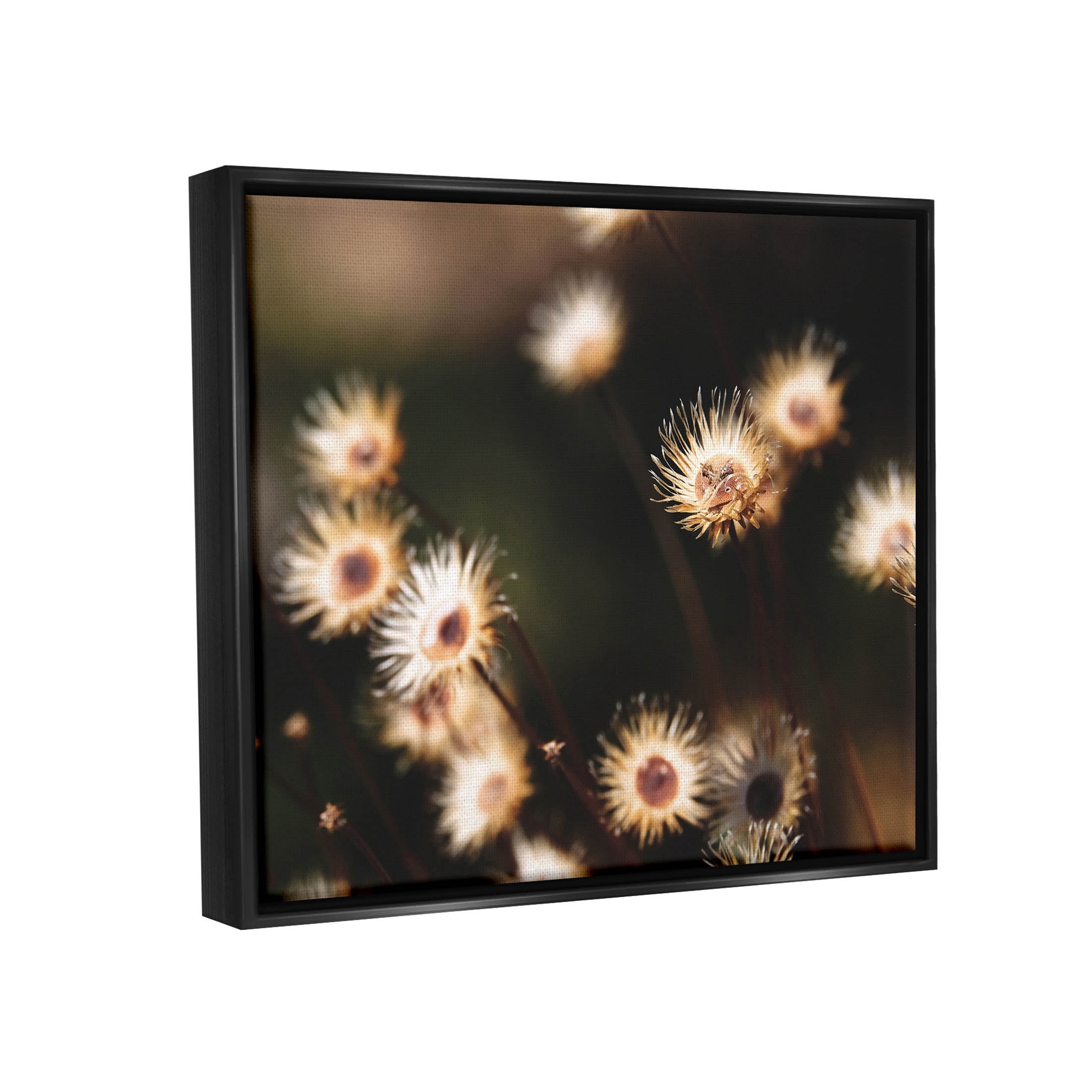 Stupell Industries Close Up Floral Buds Photograph Jet Black Floating Framed Canvas Print Wall Art, Design by Lil' Rue