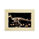thumbnail image 1 of Los huesos fósiles de dinosaurio en miniatura Escritorio de madera Arte Pintura 5x7 pulgadas marco de foto foto, 1 of 4