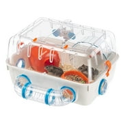 Ferplast Combi 1 Starter Hamster Cage | Includes Accessories | 15.94L x 11.61W x 8.86H بوصة, Green