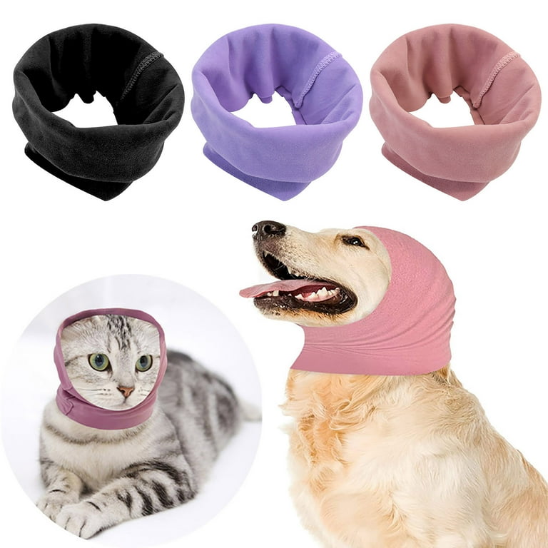 Pet boarding supplies hotsell