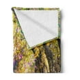 thumbnail image 2 of Landscape Soft Flannel Fleece Blanket, Blurry Spring Park View with Walkway Colorful Flower Trees Garden Idyllic Scenery, Cozy Plush for Indoor and Outdoor Use, 60" x 80", Multicolor, by Ambesonne, 2 of 5