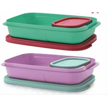 Tupperware Plastic Lunch Box 590 ml Pack of 2 with 4 Container (Multicolor)