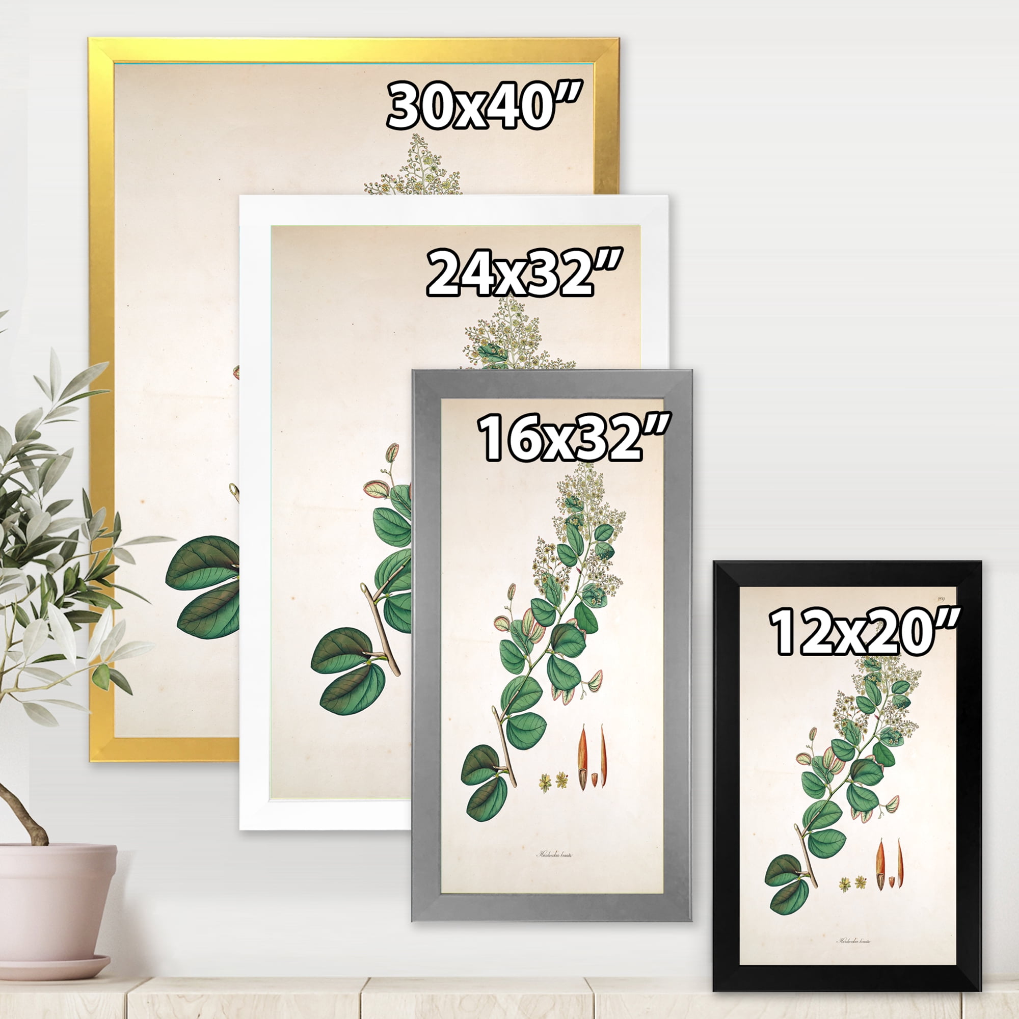 Designart 'Ancient Botanicals XIII' Farmhouse Framed Art Print