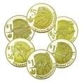 thumbnail image 1 of Set de monedas conmemorativas de dinosaurio 2024, 6 monedas de hierro, 210 g, 1 of 3