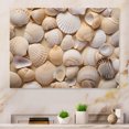 thumbnail image 2 of Designart "Beige Clam Seashell Euphony II" Clam Metal Wall Art, 2 of 5
