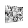 thumbnail image 2 of Trademark Fine Art 'Dreamy Peony Collage' Canvas Art by Wild Apple Portfolio, 2 of 3