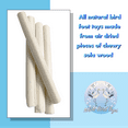 thumbnail image 6 of 5511 Pk16 Skinny Sola Logs - Natural Sola Wood Skinless Foraging Bird Foot Toys, 6 of 7