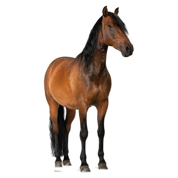Advanced Graphics Horse Cardboard Stand-Up, Life Size, 6 ft