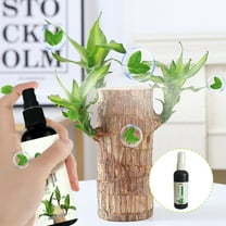 Floleo Clearance Brazilian Wood Nutrient Solution, Hydroponics Growth Booster, Promotes Germination, Prevents Yellow Leaves, Optimal Plant Health - 100ml Special Formula for Brazil Wood Care