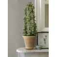 thumbnail image 3 of Advantage Canseco Grey Distressed Texture Wallpaper, 3 of 3