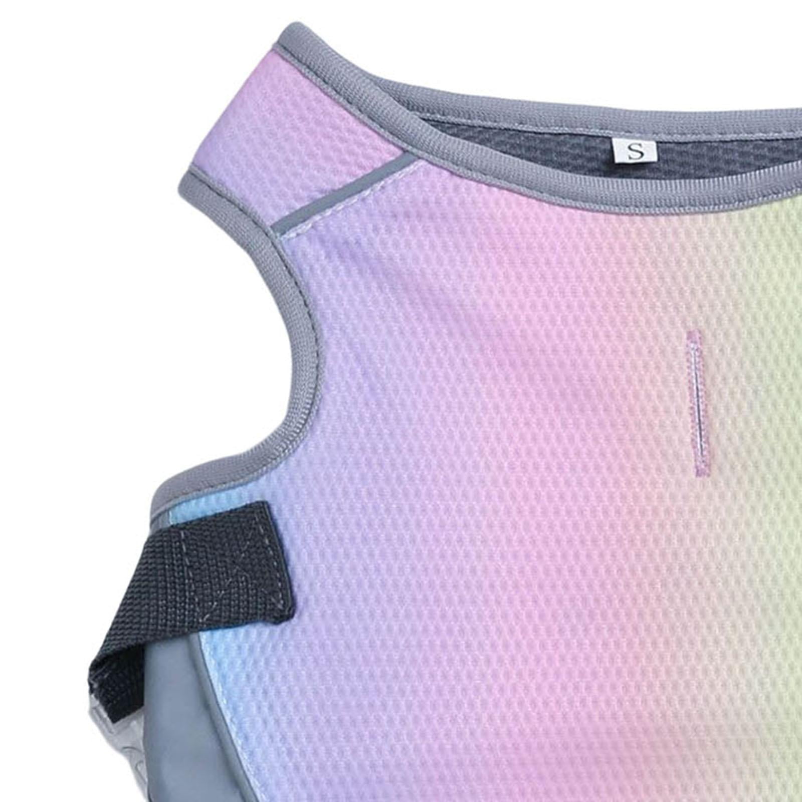Bvdfgk Dog Cooling Vest for Various Sizes Pet Dogs Reflective for Training Walking pink pink small