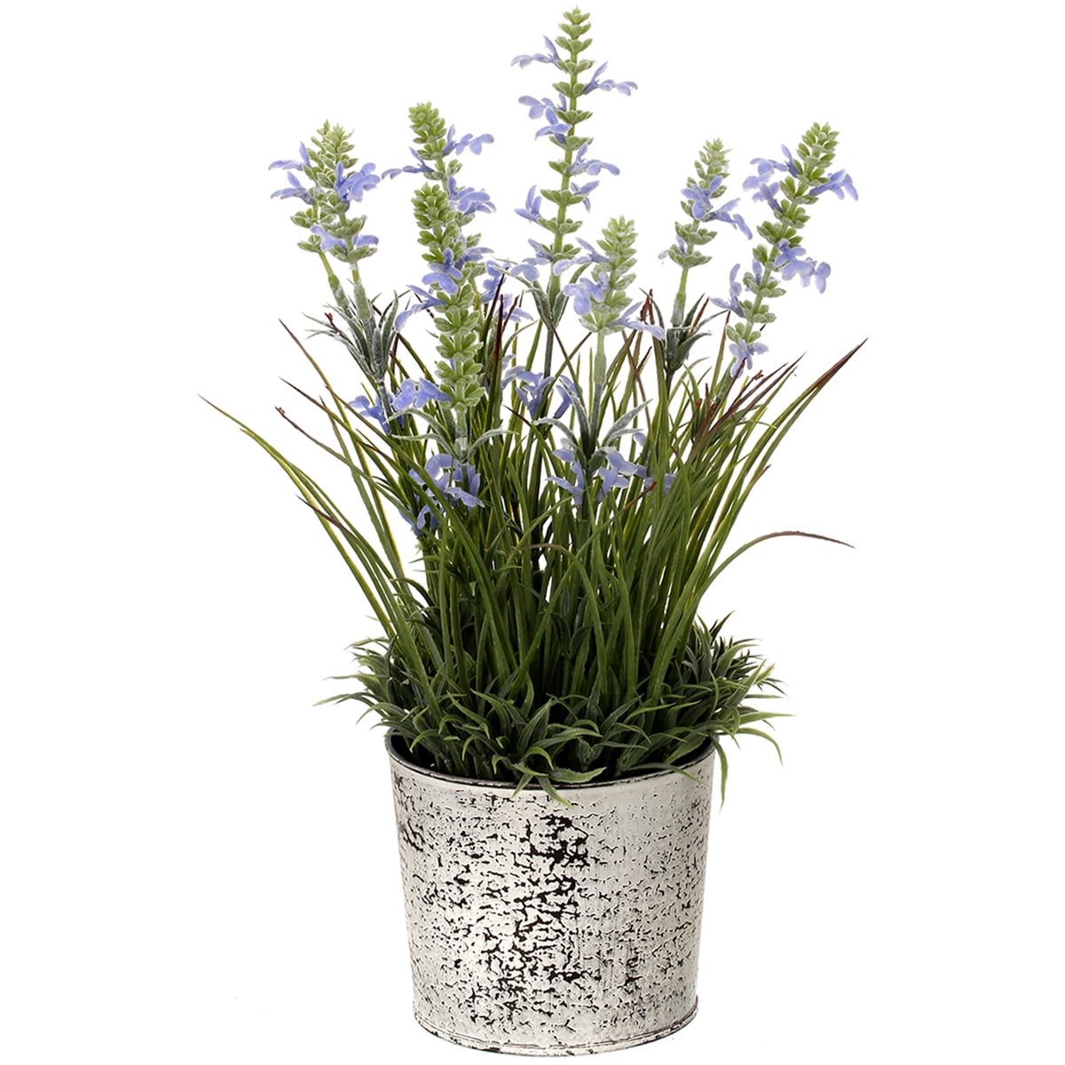 Potted Lavender In Tin Pot 14"Lavender