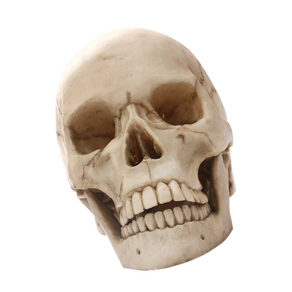 Human Skull Life Size 1:1 Resin Model Bronze Modern Home Halloween Decoration 