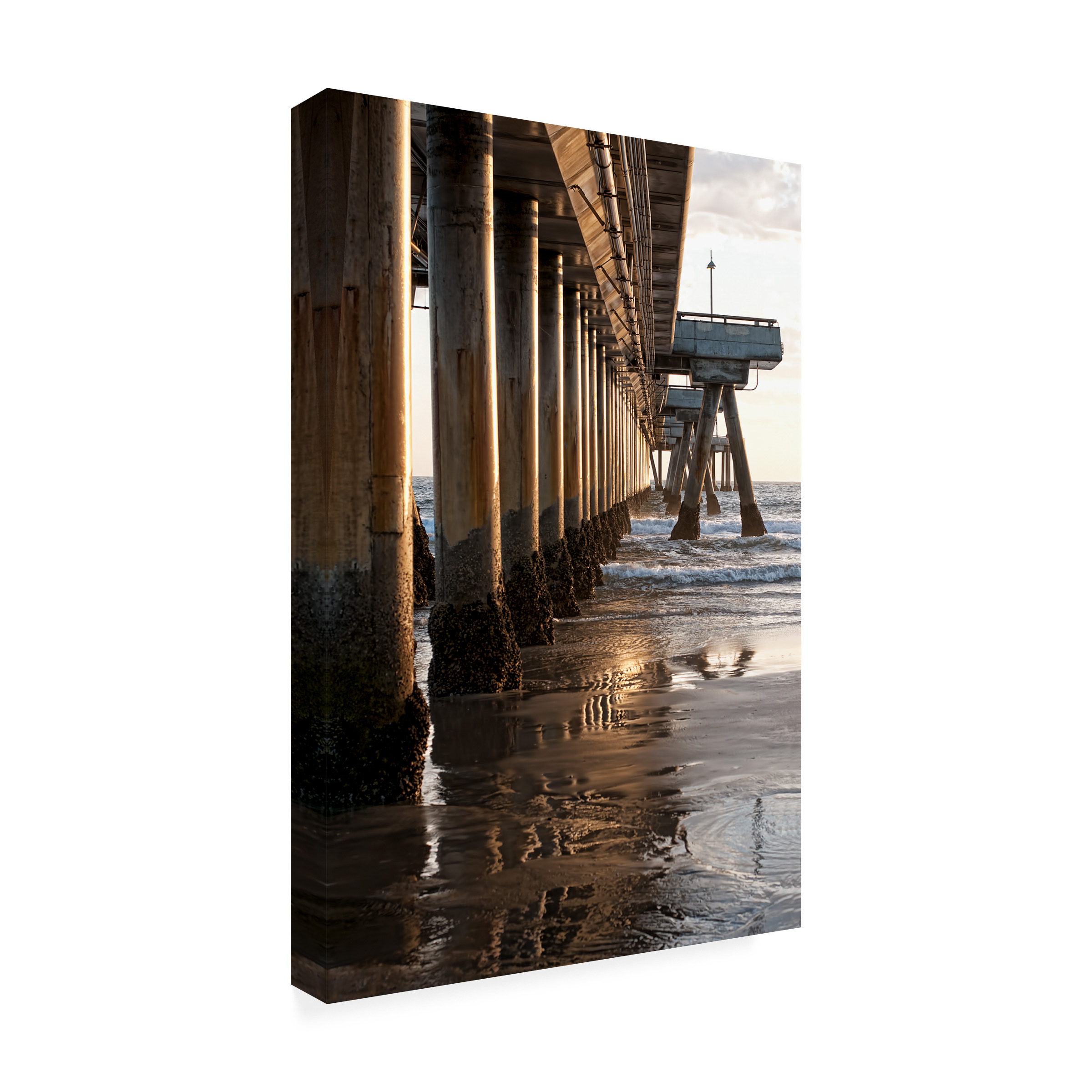 Trademark Fine Art 'Venice Beach Pier' Canvas Art by Lori Hutchison