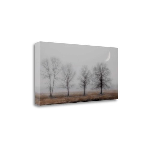 Early December By Heather Jacks, Fine Art Giclee Print on Gallery Wrap Canvas, Ready to Hang