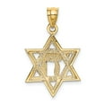 thumbnail image 3 of FB Jewels 14K Yellow Gold Solid Polish Chai in Star of David Charm, 3 of 4