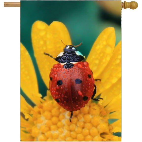 Ladybug Crawling on a Daisy Flowers Spring Scene Garden Flag 28 x 40 Inch, Double Sided Outdoor Decorative Welcome Yard Flags for Home House Lawn Patio