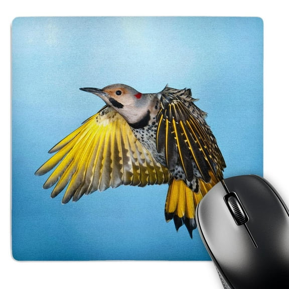 3dRose, Minnesota, Northern Flicker bird Flying - US24 BFR0162 - Bernard Friel, MousePad