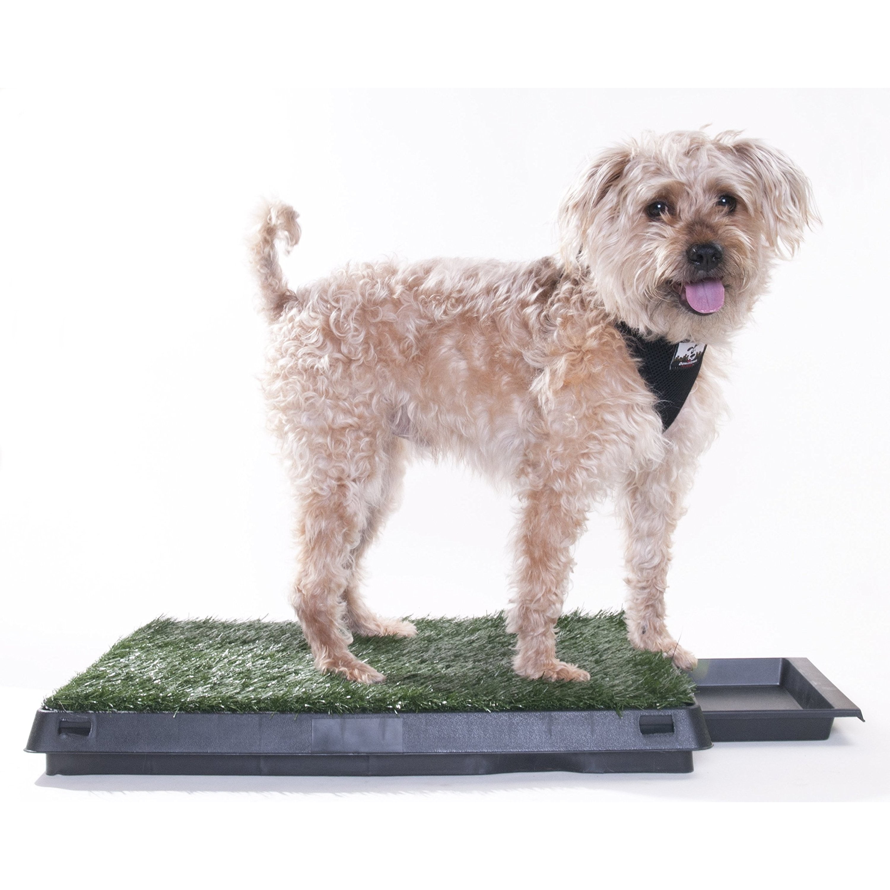 Downtown Pet Supply Grass Pad for Dogs, System w/ Drawer, 20 x 25" Dog Pads