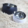 thumbnail image 4 of Bol en Acier Inoxydable pour Chat Aliment de Base pour Chiot Aliment pour Chat Mangeoire d'Eau Potable, 4 of 8
