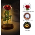 thumbnail image 3 of La bella y la bestia, rosa, regalo para mamá, señoras, rosa, flor, lámpara de cristal, aniversario de boda, decoraciones para el hogar y la Oficina Ormromra ZJWJ624-1, 3 of 3