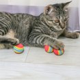 thumbnail image 5 of Reheyre 1/5/10Pcs EVA Rainbow Stripes Pattern Foam Bouncy Ball Cat Toy Pet Supplies, 5 of 8