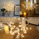 thumbnail image 2 of Flores iluminadas de 29 ", ramas de Phalaenopsis, decoración de flores artificiales de seda, luces florales (jarrón excluido) TUNC Sencillez, 2 of 5