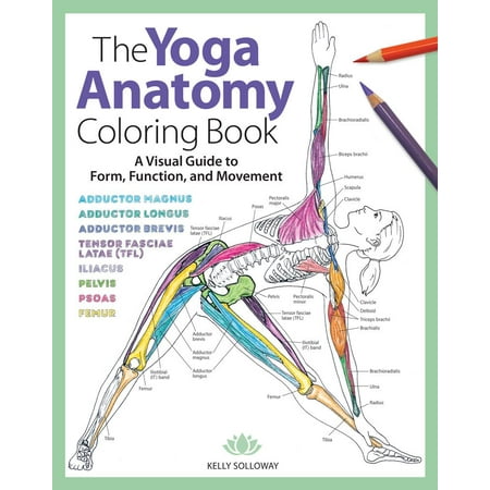 Books Pads Forms - The Yoga Anatomy Coloring Book : A Visual Guide to Form, Function, and Movement