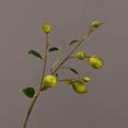 thumbnail image 1 of Ramas Artificiales de Limón Plantas Verdes de Simulación Vívida para Centros de Mesa de Cocina Decoraciones de Fiesta ANGGREK Otros, 1 of 8