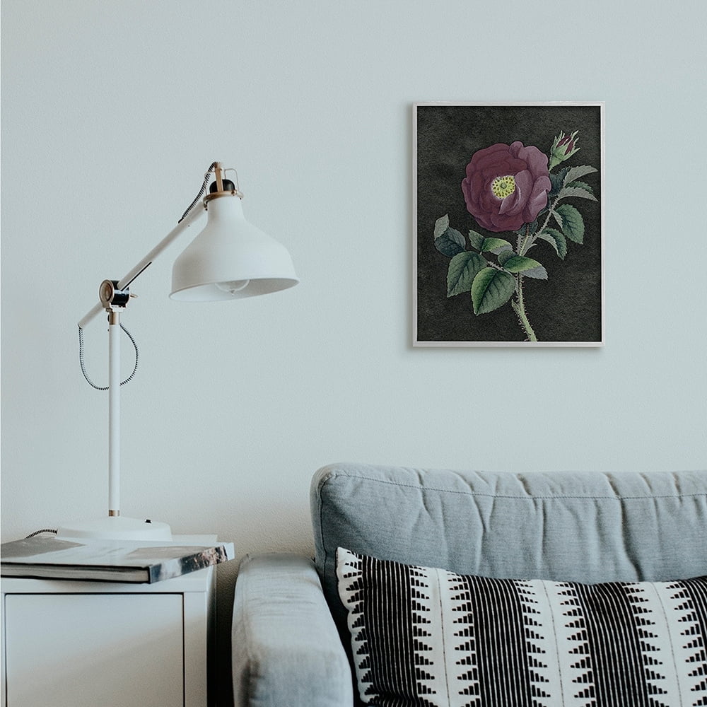 Stupell Industries Purple Poppy Vintage Illustration Thorne Flower Gray Framed by Daphne Polselli