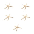 thumbnail image 1 of Wosthever Natural 5-12 cm/10-12 cm dedo blanco estrella de mar mar elegante hogar pelo boda decoración y proyecto artesanal Type3 NO3, 1 of 6