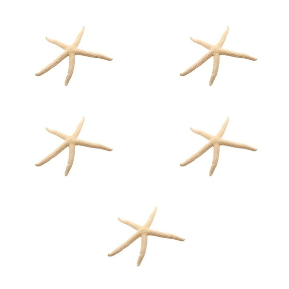 Matsuzay Natural 5-12cm/10-12cm Finger Starfish Lightweight Ornament Starfish Decor Wedding Window Home Waterproof Exquisite Type3 NO3