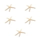 thumbnail image 2 of Estrella de Mar Natural Wosthever 5-10 cm 10-12 cm Decoración, 2 of 6