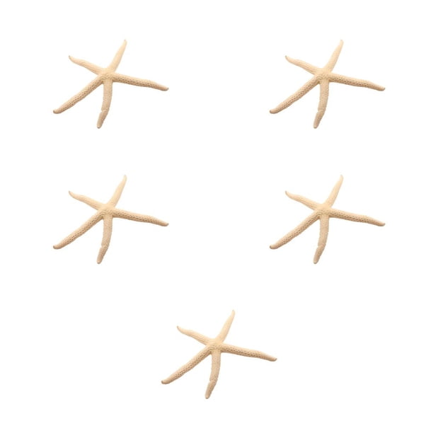 Cateissary Natural 5-12 cm/10-12 cm dedo blanco estrella de mar mar elegante hogar pelo boda decoración y proyecto artesanal Type3 NO3