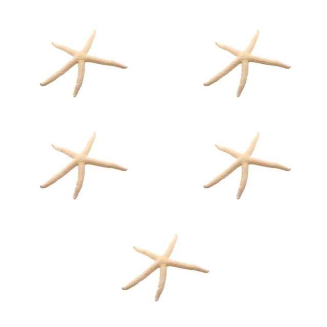 Wosthever Natural 5-12 cm/10-12 cm dedo blanco estrella de mar mar elegante hogar pelo boda decoración y proyecto artesanal Type3 NO3