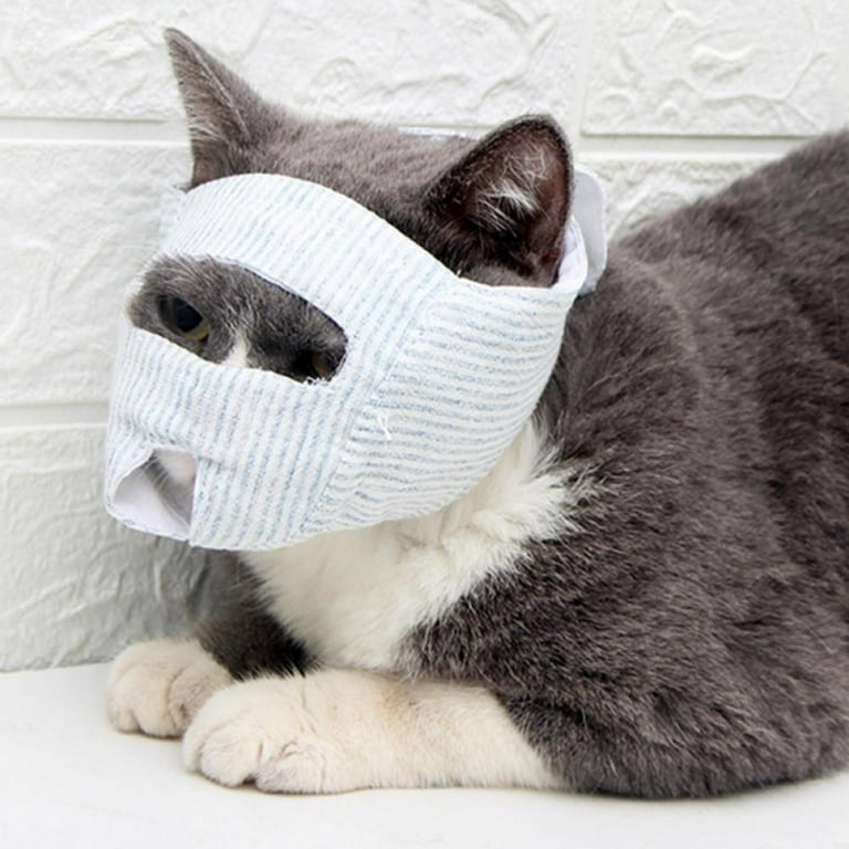 Mouse muzzle top
