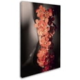 thumbnail image 2 of Trademark Fine Art "Soft Grey 2" Canvas Art by Philippe Sainte-Laudy, 2 of 3