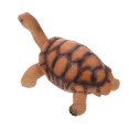 thumbnail image 4 of MasteelfCA Modèle de Tortue en Plastique Réaliste Modèle d'Animal Marin Jouet Décoratif, 4 of 9