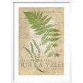 thumbnail image 2 of Art.com Fern Folio II Art Print by Vision Studio, White Frame Wall Art, 21" x 29", 2 of 5