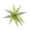 D, variant on Bcylexb Artificial Plants for Indoor, UV Resistant Fake Greenery Faux Leaves Plants for Home Pot Table Office Decor