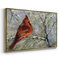 thumbnail image 3 of Cardinal in Snow II - Framed Gallery Wrapped Holiday Canvas - 17 x 25 - Gold Frame, 3 of 8
