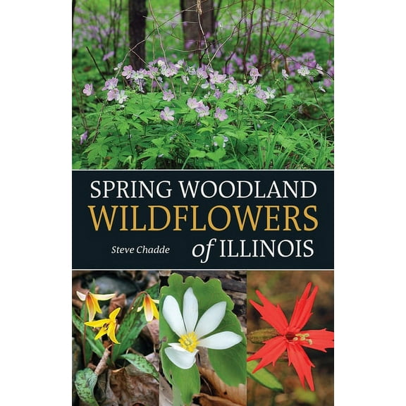 Spring Woodland Wildflowers of Illinois, (Paperback)