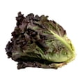 thumbnail image 2 of Lechuga morada por pieza, 2 of 4