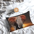 thumbnail image 5 of Rateoe Elephant Sunset in Kenya Pattern Decorative Pillow Case,Throw Pillow Covers,Plush Pillow Cover,Soft Pillow Case,Velvet Pillow Case-20"x30", 5 of 6