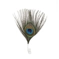 thumbnail image 2 of Zucker Feather Products Feather Floral Pick w/Peacock Eye - 2" x 4" - Natural, 2 of 5