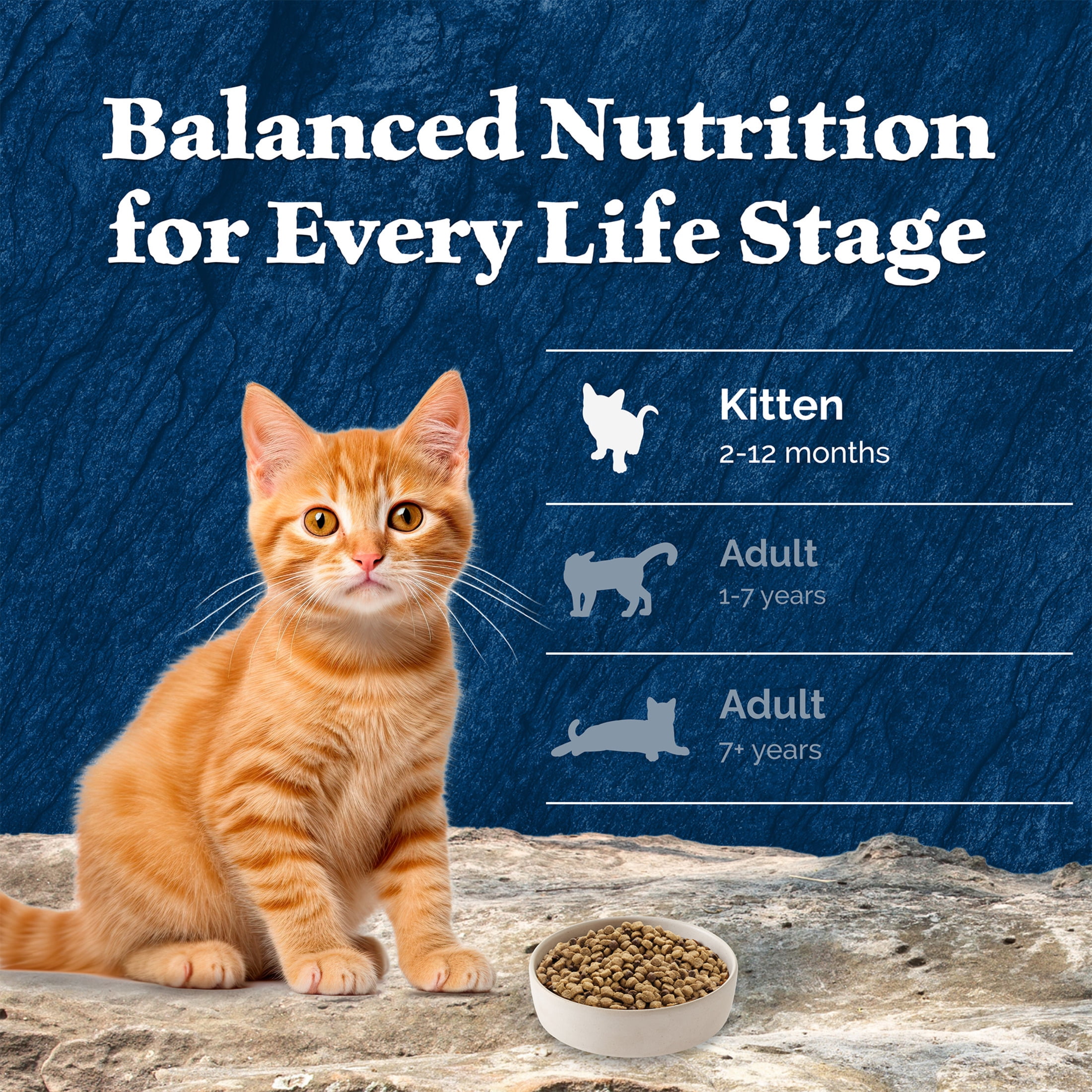 Blue Buffalo Wilderness Natural Kitten Dry Cat Food, High-Protein, Chicken, 5-lb. Bag