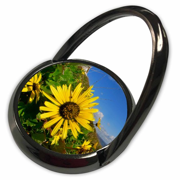 3dRose, Cape Finisterre Galicias version of Englands Lands ends at Spain and Atlantic Ocean begins, Phone Ring